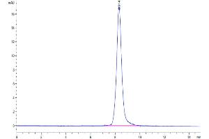 Size-exclusion chromatography-High Pressure Liquid Chromatography (SEC-HPLC) image for Receptor Tyrosine Kinase-Like Orphan Receptor 1 (ROR1) (AA 30-305) protein (His tag) (ABIN7275529)