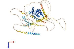 ARID3A Protein (AA 1-601) (His tag)