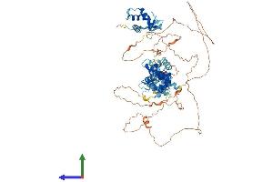 Protein Structure (PS) image for DEP Domain Containing 1 (DEPDC1) (AA 1-811) protein (His tag) (ABIN7553642)