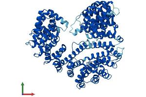 Protein Structure (PS) image for Karyopherin (Importin) beta 1 (KPNB1) (AA 1-876) protein (His tag) (ABIN7563511)