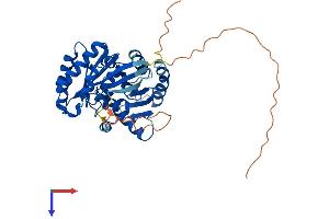 RRAGB Protein (AA 1-374) (His tag)