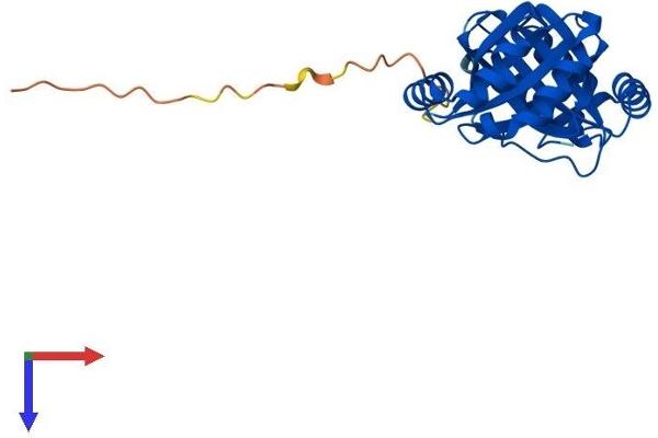 NIPSNAP3A Protein (AA 1-247) (His tag)