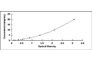 PRR4 ELISA Kit