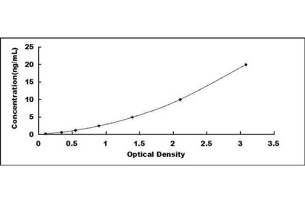 PRR4 ELISA Kit