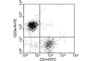 Flow Cytometry (FACS) image for anti-CD1a (CD1a) antibody (FITC) (ABIN371280) (CD1a Antikörper  (FITC))