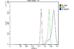 Flow Cytometry analysis of CACO-2 cells using anti-SH3KBP1 antibody (ABIN7600938). (SH3KBP1 Antikörper  (AA 256-629))