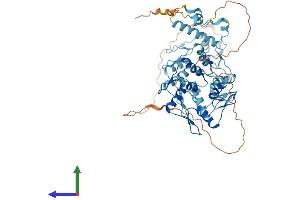 Protein Structure (PS) image for Zinc Finger Protein 250 (ZNF250) (AA 1-560) protein (His tag) (ABIN7545452)