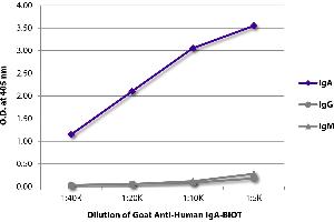 ELISA image for Goat anti-Human IgA (Heavy Chain) antibody (Biotin) (ABIN375956)