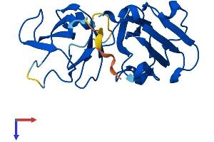 CRYbA2 Protein (AA 1-197) (His tag)