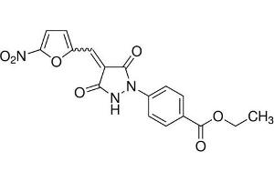 Chemical structure of Pyr41 , a E1 UAE inhibitor.