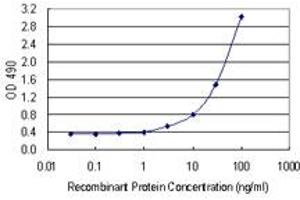 PNMA2 (Human) Matched Antibody Pair