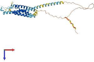 Protein Structure (PS) image for Membrane-Spanning 4-Domains, Subfamily A, Member 1 (MS4A1) (AA 1-291) protein (His tag) (ABIN7562940)