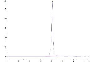 Size-exclusion chromatography-High Pressure Liquid Chromatography (SEC-HPLC) image for Osteoclast Associated Receptor (OSCAR) (AA 19-229) protein (Fc Tag) (ABIN7275377)
