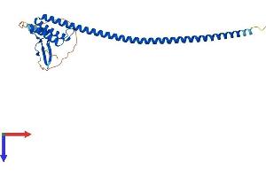 DNALI1 Protein (AA 1-258) (His tag)