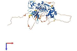 PHF1 Protein (AA 1-567) (His tag)