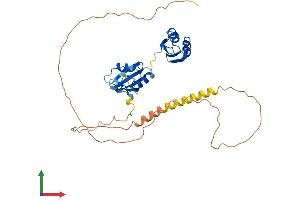 AlphaFold protein structure predicition of Human Recombinant RBM4 Protein, UniprotID Q9BWF3