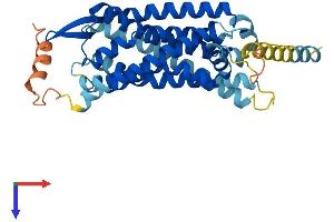 GPR15 Protein (AA 1-360) (His tag)