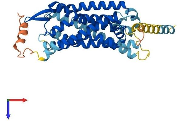 GPR15 Protein (AA 1-360) (His tag)