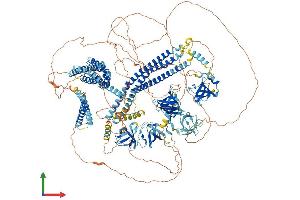 Protein Structure (PS) image for Dynamin Binding Protein (DNMBP) (AA 1-1577) protein (His tag) (ABIN7553695)