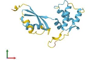Protein Structure (PS) image for Ribosomal Protein L12 (RPL12) (AA 1-165) protein (His tag) (ABIN7563193)