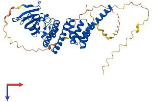 FKBP8 Protein (AA 1-412) (His tag)