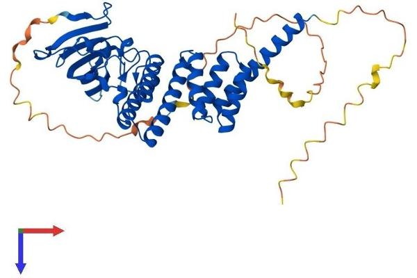 FKBP8 Protein (AA 1-412) (His tag)