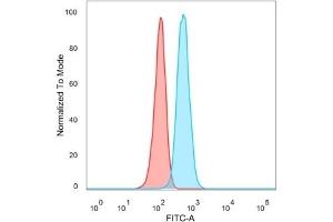 Flow cytometric analysis of PFA-fixed HeLa cells. (TDRKH Antikörper)