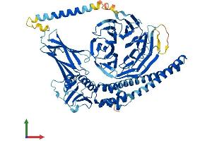 AlphaFold protein structure predicition of Human Recombinant BBS2 Protein, UniprotID Q9BXC9
