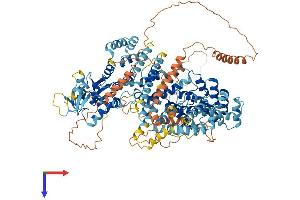 AlphaFold protein structure predicition of Human Recombinant SLF1 Protein, UniprotID Q9BQI6
