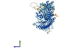 AlphaFold protein structure predicition of Human Recombinant NOD1 Protein, UniprotID Q9Y239