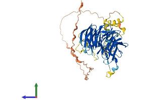 Protein Structure (PS) image for DDB1 and CUL4 Associated Factor 12-Like 1 (DCAF12L1) (AA 1-501) protein (His tag) (ABIN7559236)