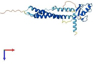 NSMCE2 Protein (AA 1-247) (His tag)