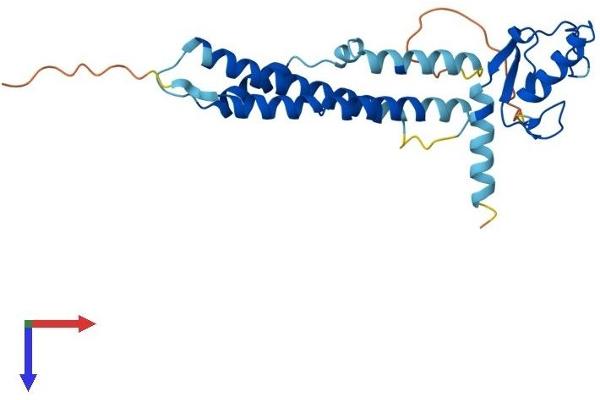 NSMCE2 Protein (AA 1-247) (His tag)