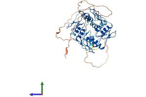 AlphaFold protein structure predicition of Human Recombinant ZNF70 Protein, UniprotID Q9UC06