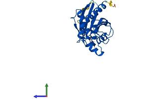 AlphaFold protein structure predicition of Human Recombinant PTRH1 Protein, UniprotID Q86Y79
