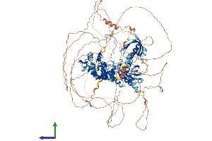 Protein Structure (PS) image for ArfGAP with GTPase Domain, Ankyrin Repeat and PH Domain 2 (AGAP2) (AA 1-1186) protein (His tag) (ABIN7563718)