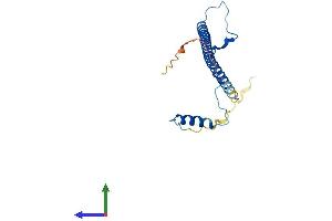 Protein Structure (PS) image for Prkr Interacting Protein 1 (IL11 Inducible) (PRKRIP1) (AA 1-186) protein (His tag) (ABIN7560690)