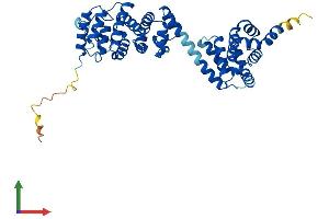 Protein Structure (PS) image for Basic Leucine Zipper and W2 Domains 2 (BZW2) (AA 1-419) protein (His tag) (ABIN7552782)