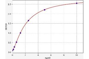 DRAM ELISA Kit