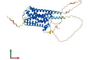 AlphaFold protein structure predicition of Mouse Recombinant Chrm1 Protein, UniprotID P12657