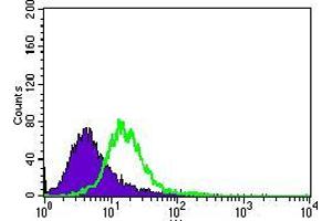 Flow cytometric analysis of HeLa cells using MAP1LC3A mouse mAb (green) and negative control (purple). (MAP1LC3A Antikörper  (AA 1-121))