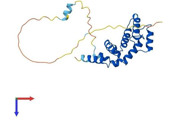 RGS1 Protein (AA 1-209) (His tag)