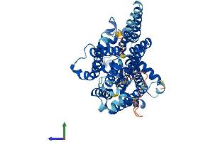 Protein Structure (PS) image for Phosphatidylinositol Glycan Anchor Biosynthesis, Class V (PIGV) (AA 1-493) protein (His tag) (ABIN7558250)