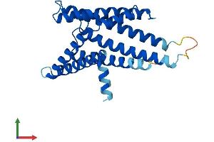 Protein Structure (PS) image for Peroxisome Biogenesis Factor 11 gamma (PEX11G) (AA 1-241) protein (His tag) (ABIN7558005)