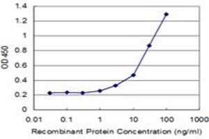 Detection limit for recombinant GST tagged ATP5J is approximately 1ng/ml as a capture antibody. (ATP5J Antikörper  (AA 1-108))