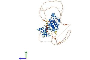 AlphaFold protein structure predicition of Human Recombinant NELFA Protein, UniprotID Q9H3P2