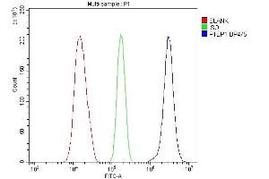 Flow Cytometry analysis of 293T cells using anti-PTBP1 antibody (ABIN7599451). (PTBP1 Antikörper  (AA 1-504))