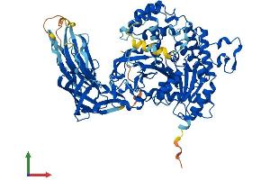AlphaFold protein structure predicition of Human Recombinant PLA2G4D Protein, UniprotID Q86XP0