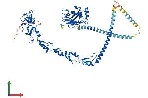 Protein Structure (PS) image for TNF Receptor-Associated Factor 5 (TRAF5) (AA 1-558) protein (His tag) (ABIN7556672)
