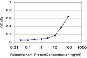 Detection limit for recombinant GST tagged RIN2 is approximately 1ng/ml as a capture antibody. (RIN2 Antikörper  (AA 786-894))